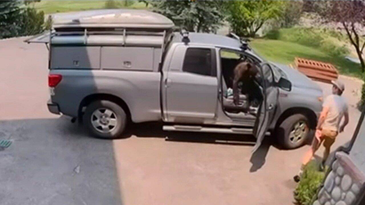 Ursco em caminhonete no Colorado