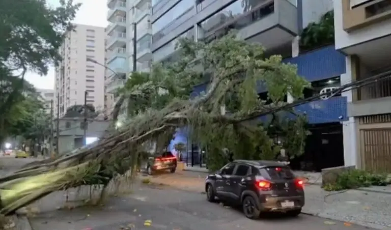 Vendaval no Rio de Janeiro - Reprodução TV Globo