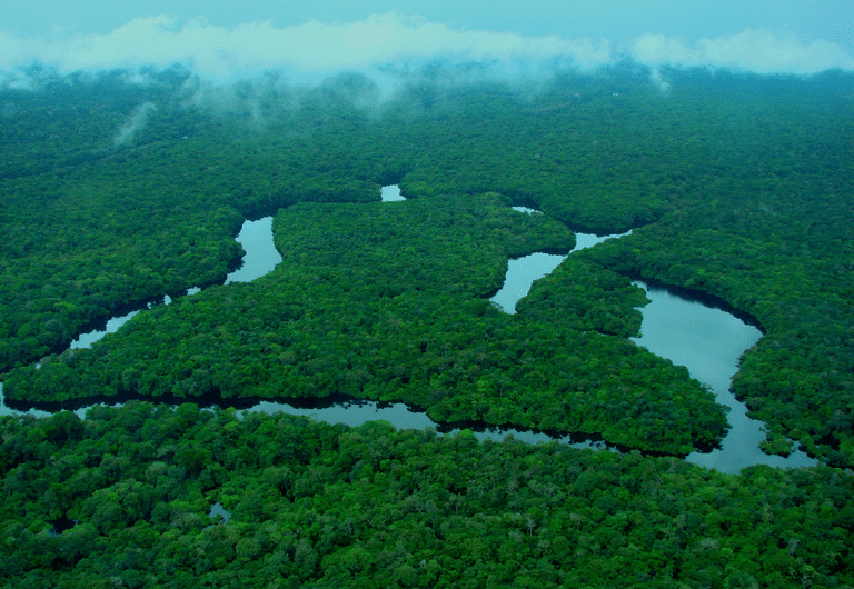Brasil tem redução dos alertas de desmatamento na Amazônia e no Cerrado