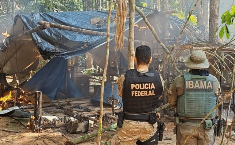 PF e Ibama combatem garimpo ilegal em terra indígena