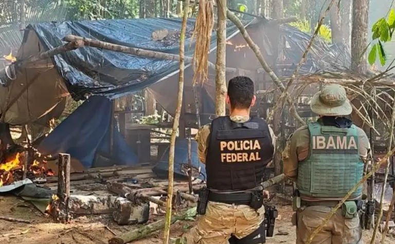 PF e Ibama combatem garimpo ilegal em terra indígena