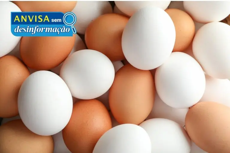 Anvisa informa que é falso o alerta sobre presença de plástico ou petróleo em ovos