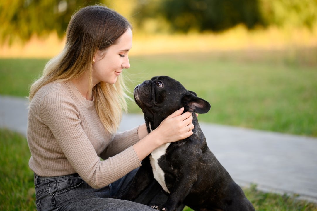 Cachorro recebendo carinho de jovem mulher, bulldog