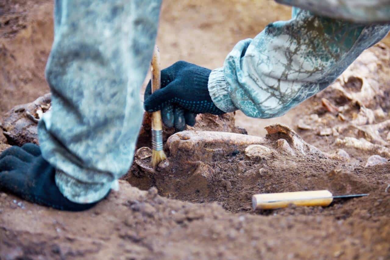 Escava&ccedil;&atilde;o arqueol&oacute;gica, arque&oacute;logo