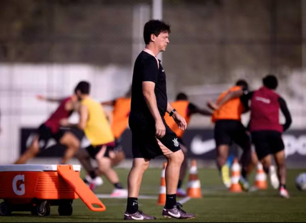 Fernando Diniz
