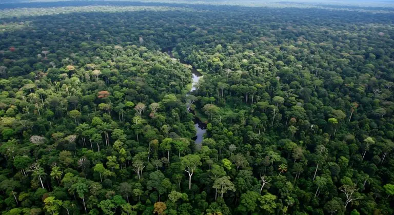 Floresta Amazônia