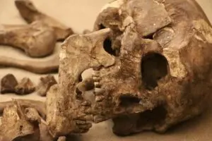 Fossil analysis in China suggests new human species with larger brain