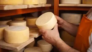 As bactérias que dão sabor ao queijo também fazem bem ao intestino