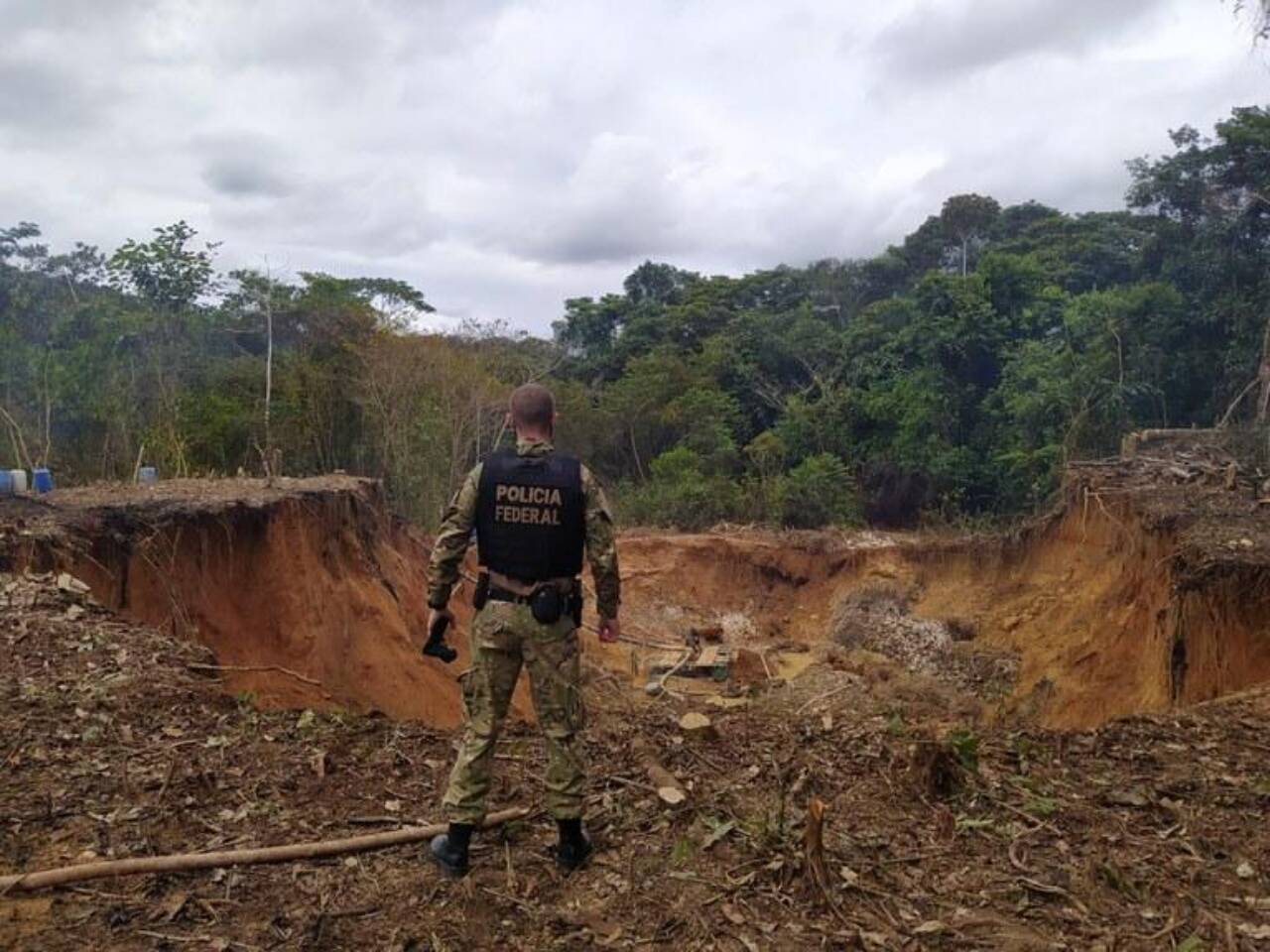 PF e ICMBio deflagram Operação Caraíba IV no Parque Nacional Mapinguari