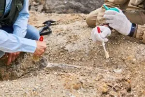 Paleontólogos na China revelam nova família de dinossauros inédita no Leste Asiático