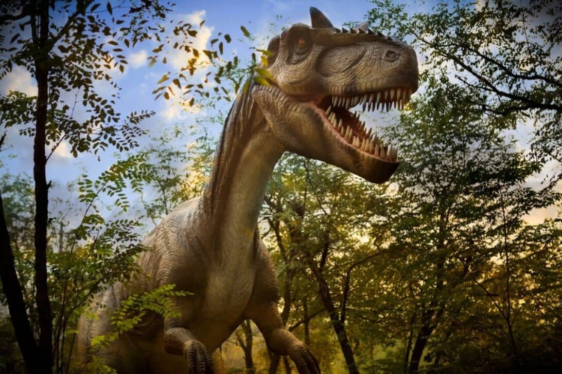 Parque de dinossauros