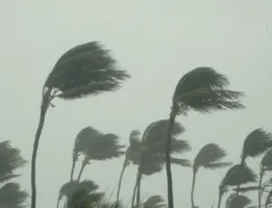 Ciclone bomba e frente fria levam ventos de 100 km/h ao Sul e Sudeste