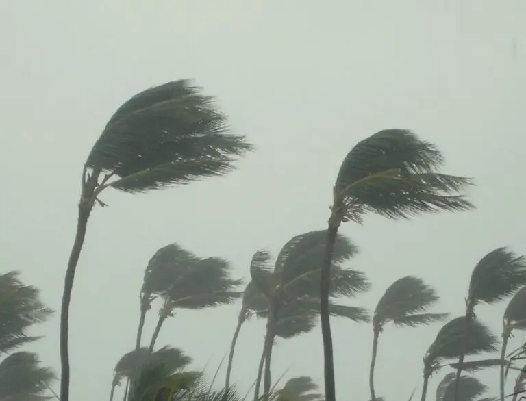 Ventania, tempestade, ventos fortes, vendaval