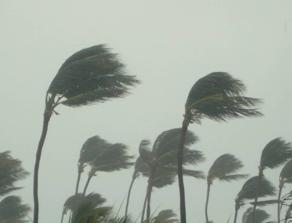 Ventania, tempestade, ventos fortes, vendaval