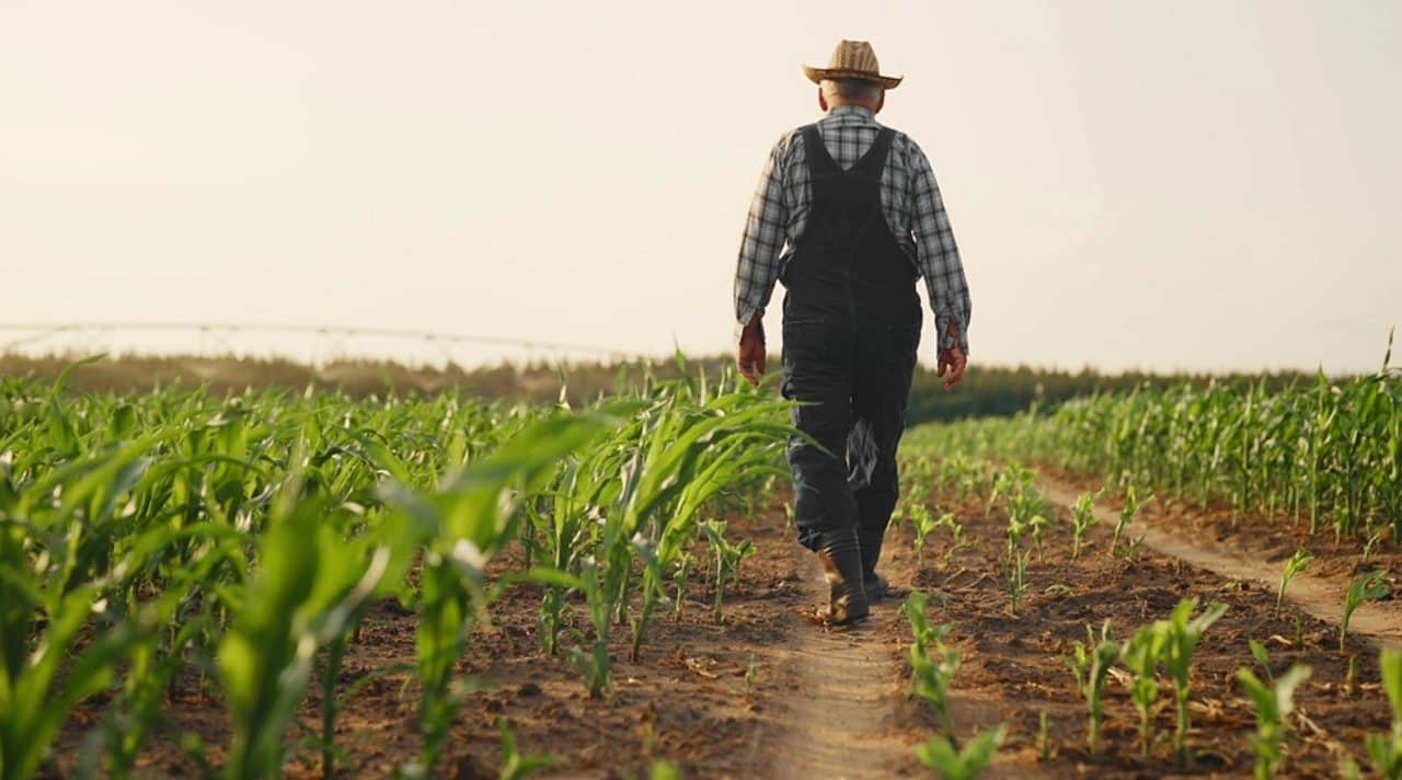 Agro, agricultor - Serg Grbanoff/Shutterstock.com