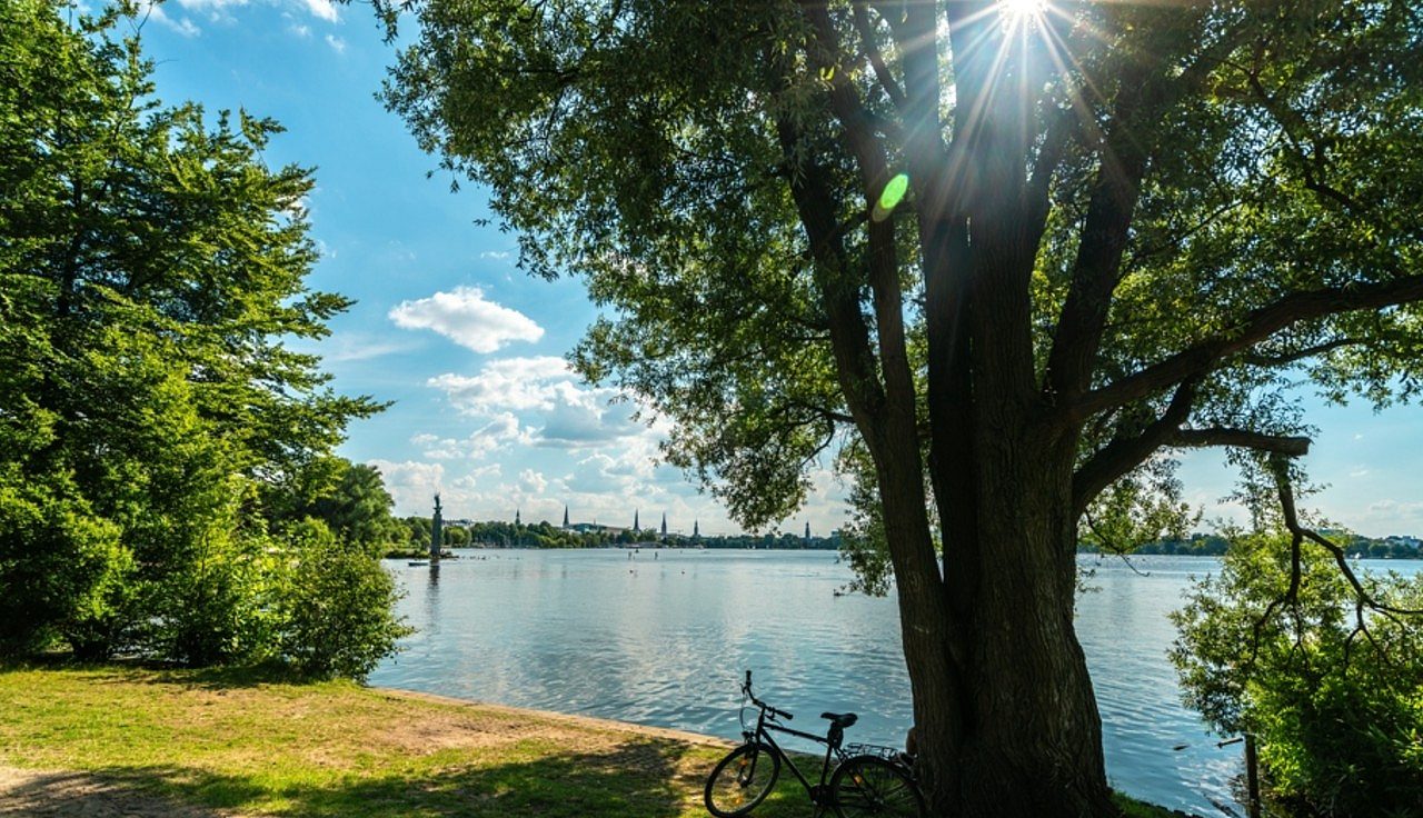 Alster - Ionov Vitaly/Shutterstock.com