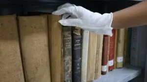 Acervo único no Amazonas: biblioteca em Tefé preserva 28 mil obras sobre biodiversidade e cultura amazônica