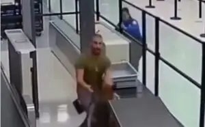 Amigo: cachorro de serviço da TSA surpreende ao reencontrar antigo treinador