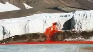 Ancestral life of microorganisms discovered beneath the ice at Antarctica’s Blood Falls
