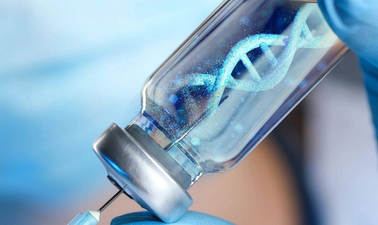 células DNA