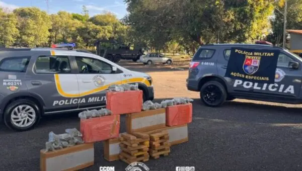 Forças de segurança interceptam carregamento de quase 250 kg de entorpecentes em rodovia de Assis
