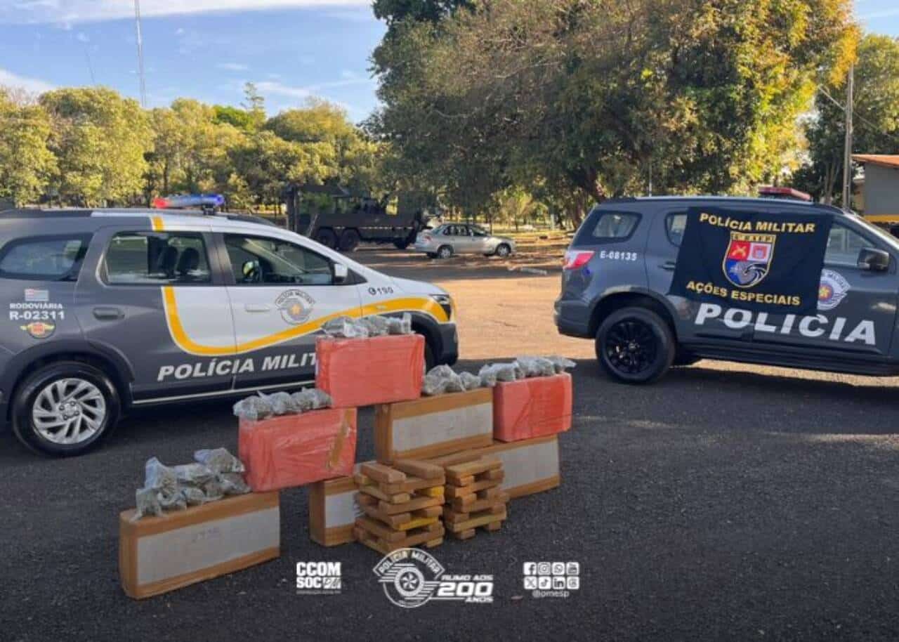Forças de segurança interceptam carregamento de quase 250 kg de entorpecentes em rodovia de Assis