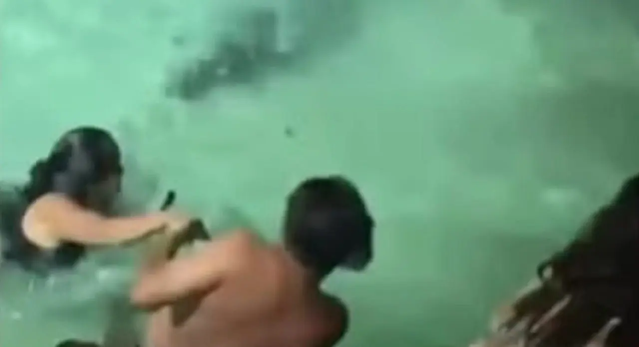 Crocodilo investe na direção de turistas em resort de Belize - reprodução
