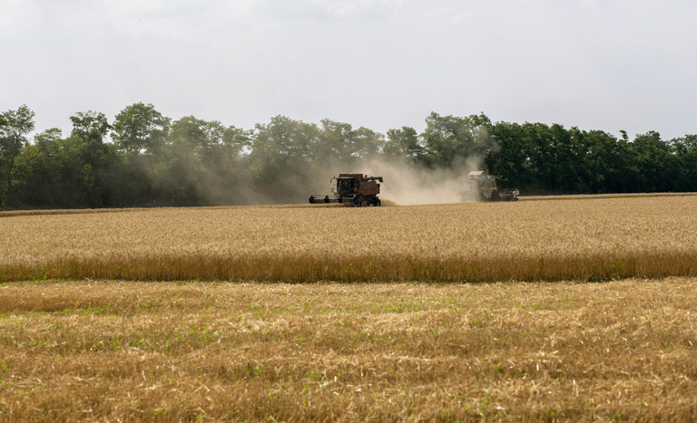 Crédito rural para a agricultura empresarial soma R$ 28,2 bilhões no primeiro mês da safra 2026/2027