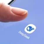 DeepSeek - Chitaika / Shutterstock.com