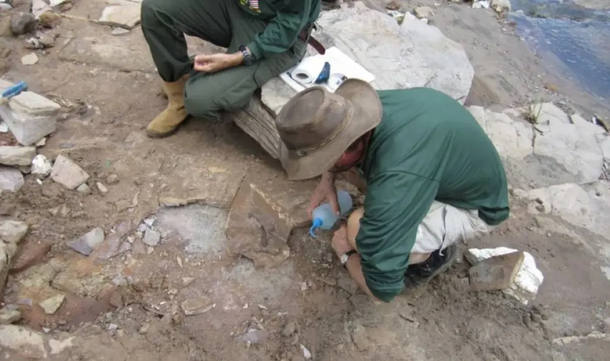 excavation in Pastos Bons