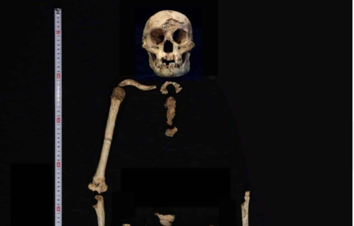 Esqueleto de Homo floresiensis - Divulgação/Museu da Australia