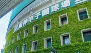 Música “Ichibanboshi” do Sapporo Nichidai impulsiona torcida na estreia do beisebol do ensino médio no Koshien