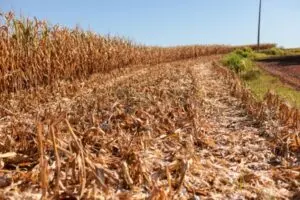 Governo propõe R$ 360 milhões extras para defesa civil combater impactos de desastres climáticos