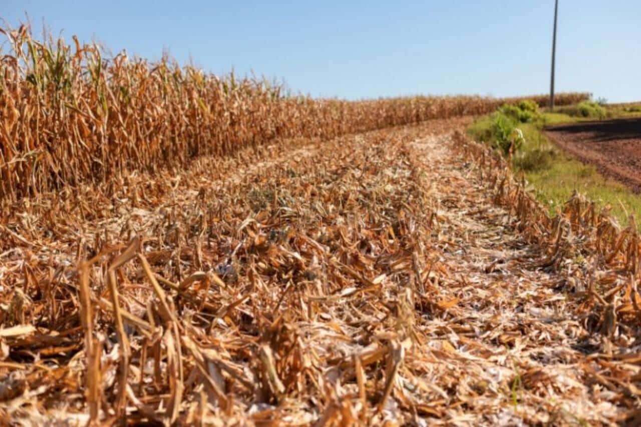 Governo propõe R$ 360 milhões extras para defesa civil combater impactos de desastres climáticos