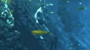 Cena surreal com escada submersa na Lagoa Misteriosa de MS cativa milhões na internet
