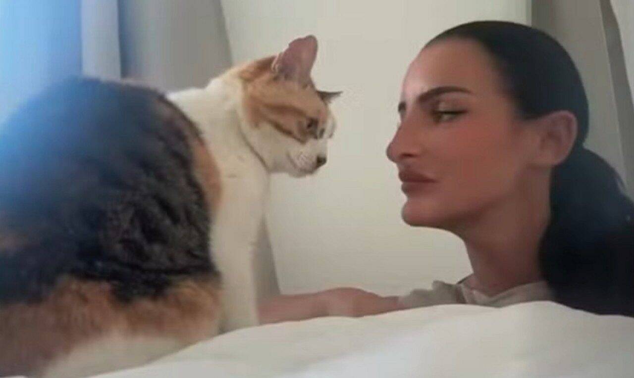 Gata Charlie volta para casa após dez anos e emociona tutora no dia do aniversário - reprodução/Facebook