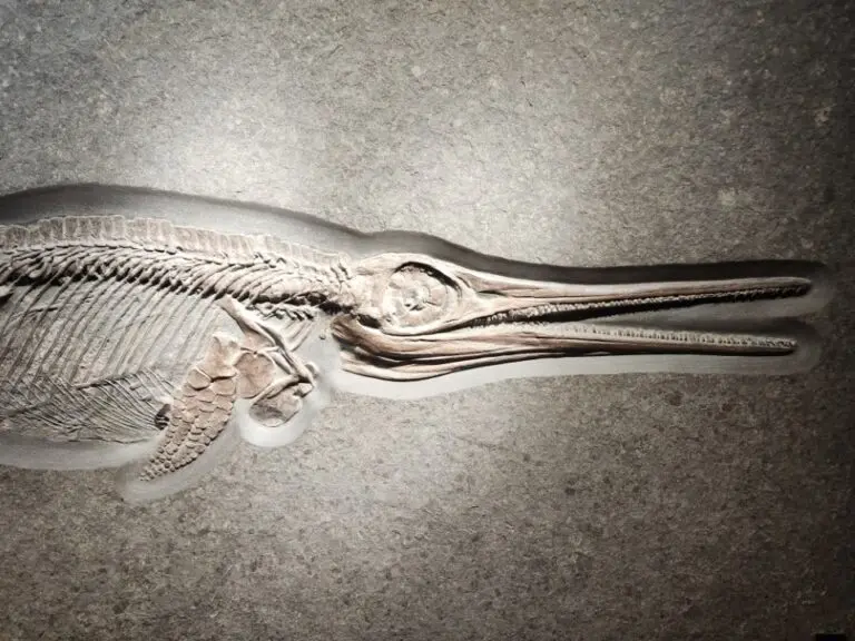 ictiossauros