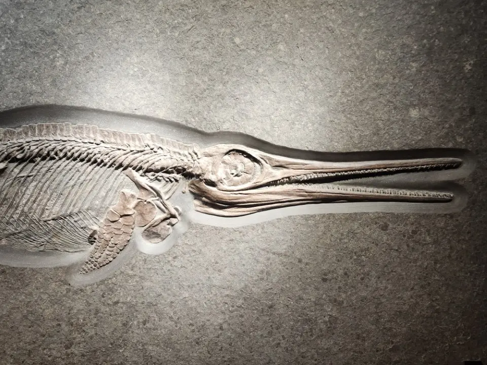 ictiossauros