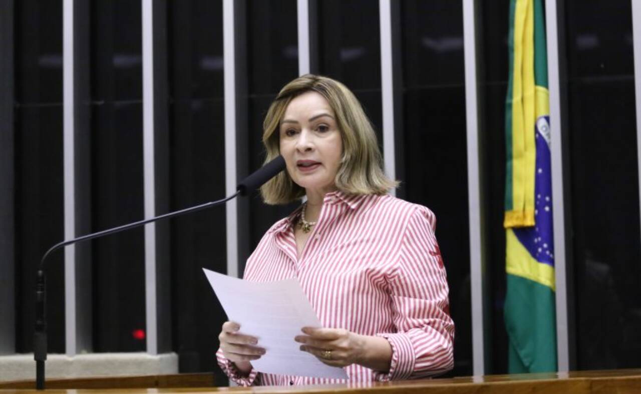 Socorro Neri: a proposta tem inegável mérito econômico, social e estratégico - Foto: Thiago Cristino / Câmara dos Deputados