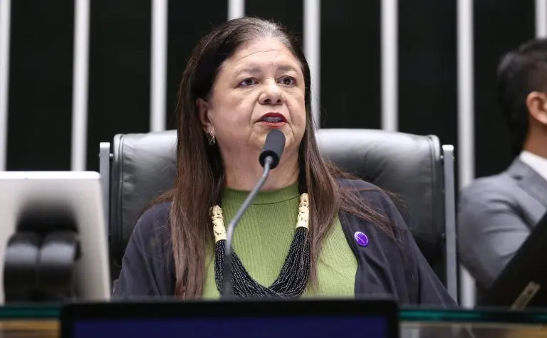 Laura Carneiro: a estabilidade institucional é necessária diante dos altos índices de agressões - Foto: Vinicius Loures/Câmara dos Deputados