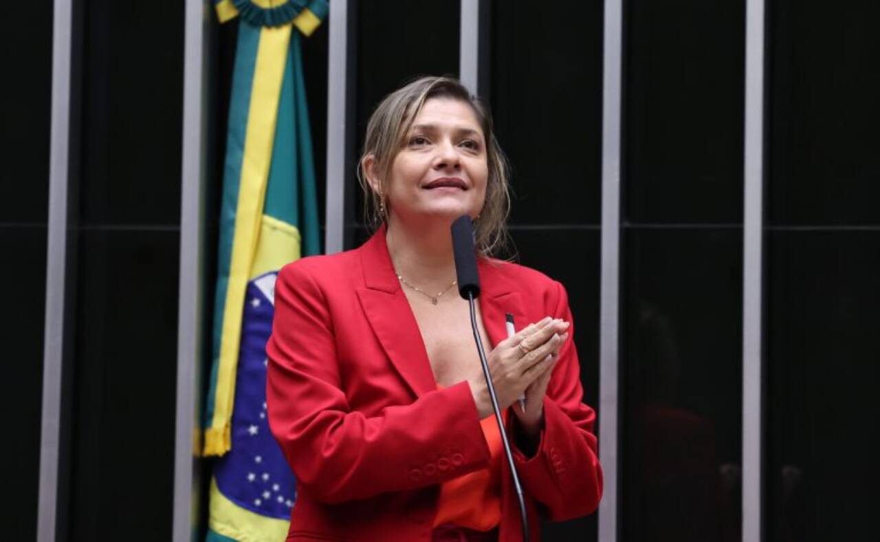 A Professora Luciene Cavalcante propôs o debate - Foto: Bruno Spada/Câmara dos Deputados