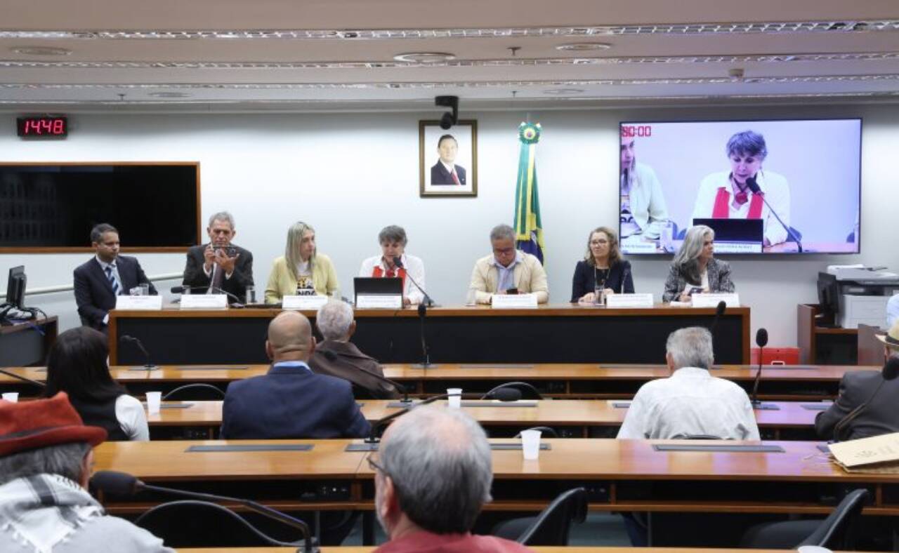 Tema foi debatido pela Comissão de Direitos Humanos da Câmara - Foto: Bruno Spada / Câmara dos Deputados