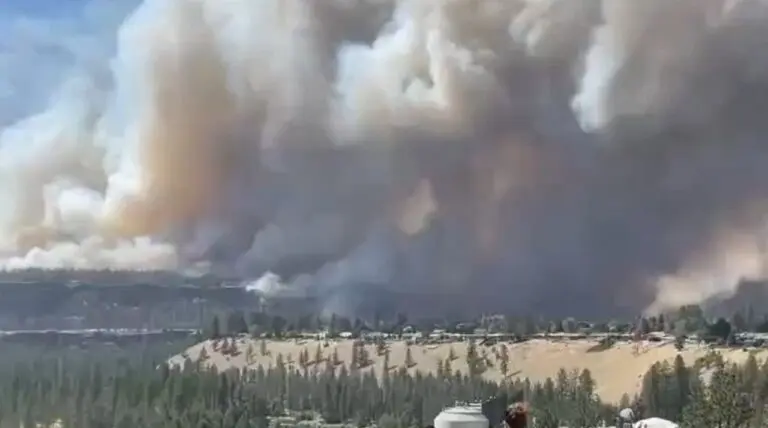 Incêndio florestal Spokane - Reprodução/Rede Sociasi