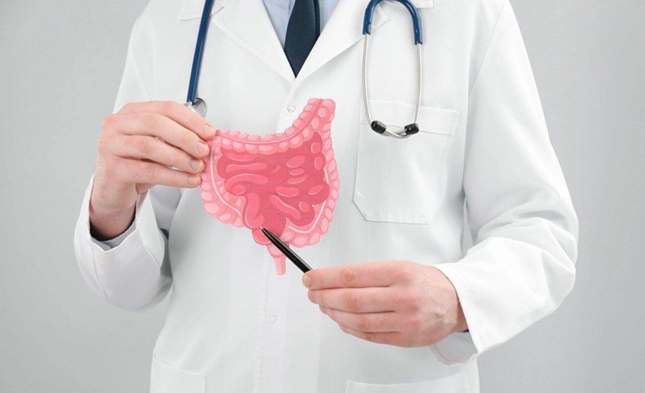 Intestino, médico - New Africa/Shutterstock.com