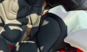 Jovem atleta encontra cobra mocassim-d’água de 60 cm dentro de capacete no Arkansas