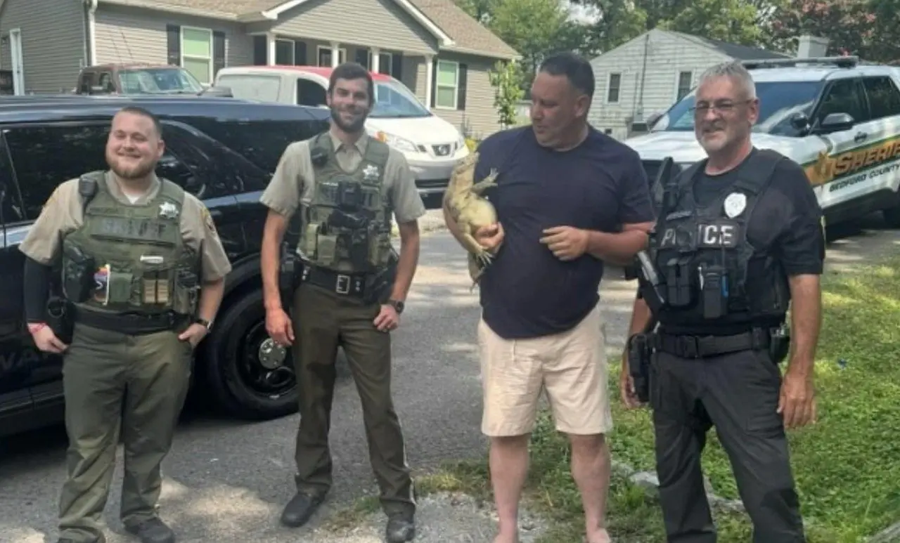 lagarto capturado no Tennessee