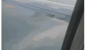 Turbina de avião pega fogo após colisão com pássaros e força pouso nos EUA