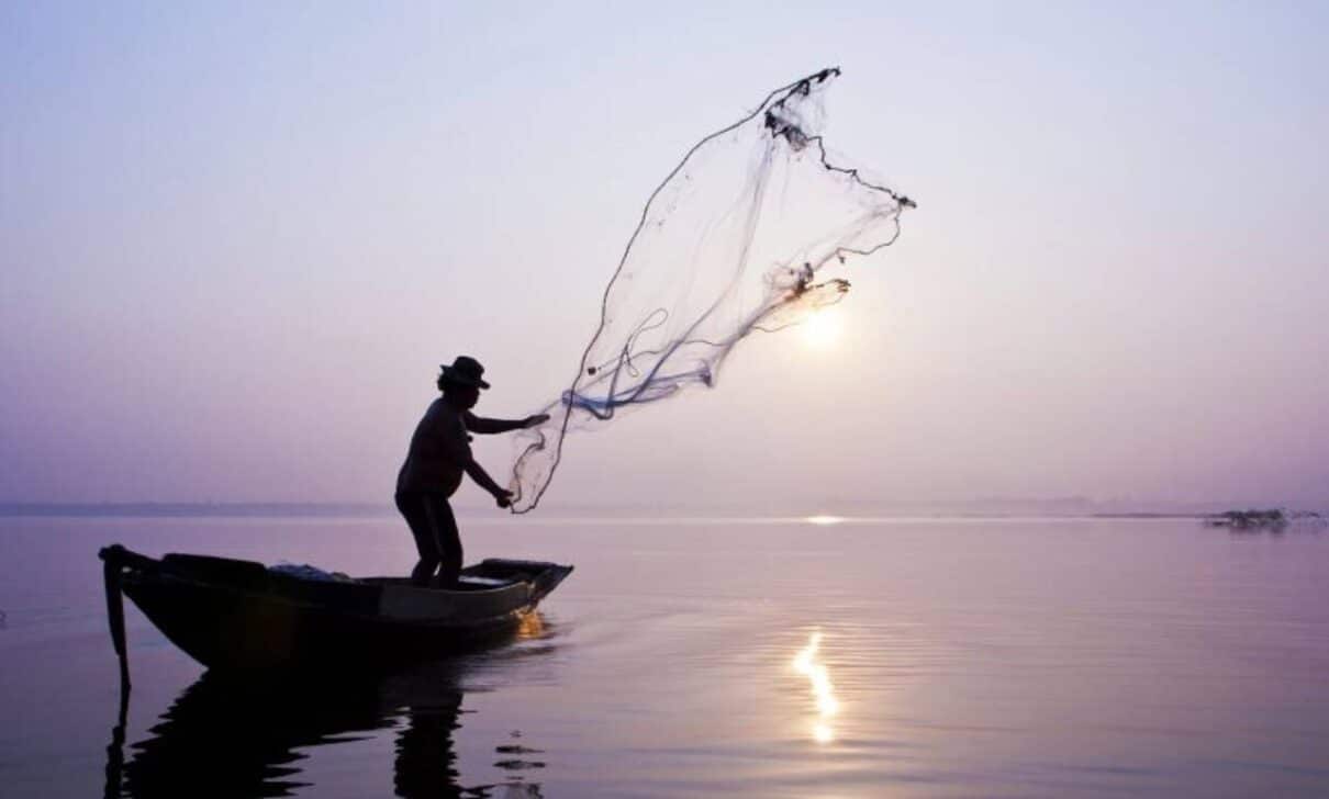 A moratória da pesca e da comercialização da piracatinga é mantida há onze anos - Foto: Depositphotos