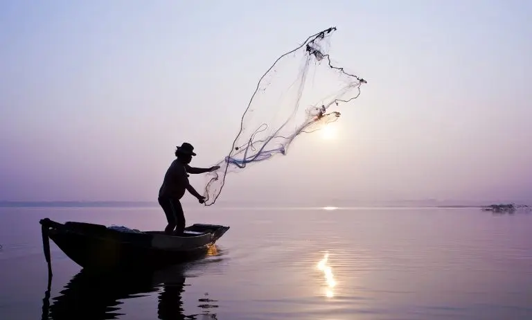 A moratória da pesca e da comercialização da piracatinga é mantida há onze anos - Foto: Depositphotos