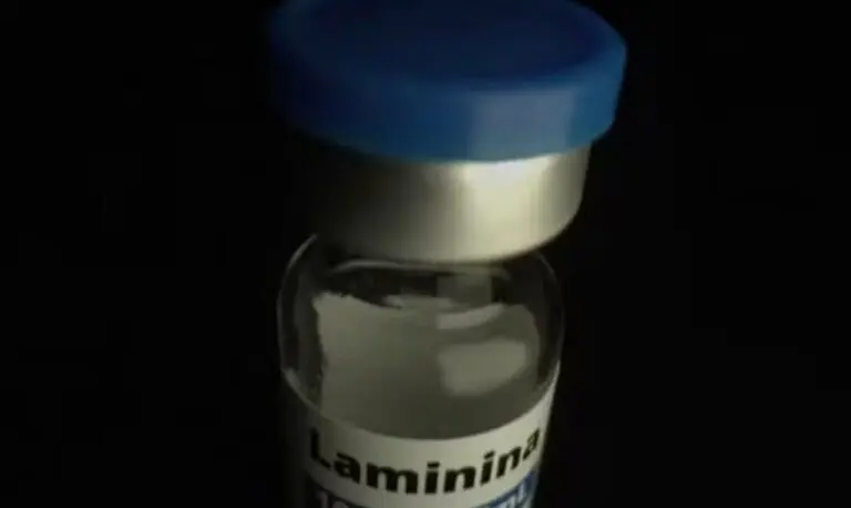 polilaminina - reprodução